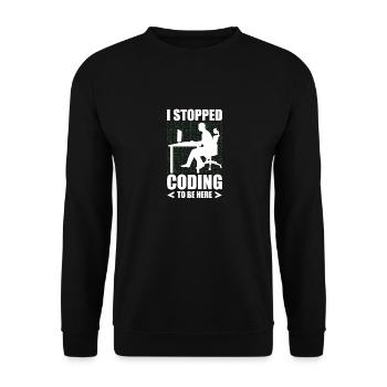 Programmierer Entwickler IT Admin Programmierer Codierung - Unisex Pullover - Schwarz - Vorne - Alina (178cm) & Michal (187cm)