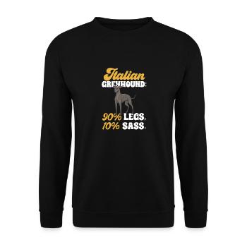 Italienischer Windspiel Windhund Hunde - Unisex Pullover - Schwarz - Vorne - Alina (178cm) & Michal (187cm)