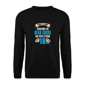Cadeau Anniversaire Beau Gosse 18 ans Humour - Sweat-shirt Unisexe - noir - Devant - Alina (178cm) & Michal (187cm)