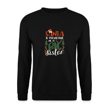 Der Weihnachtsmann befördert mich zur großen - Unisex Pullover - Schwarz - Vorne - Alina (178cm) & Michal (187cm)