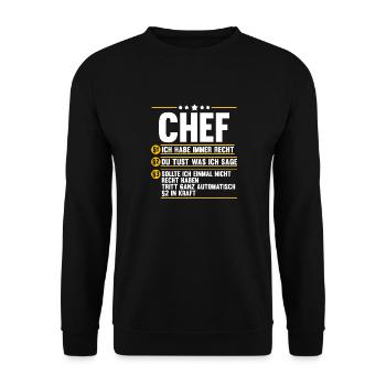 Arbeit Kollegen Büro Teamleiter Führungskraft Chef - Unisex Pullover - Schwarz - Vorne - Alina (178cm) & Michal (187cm)