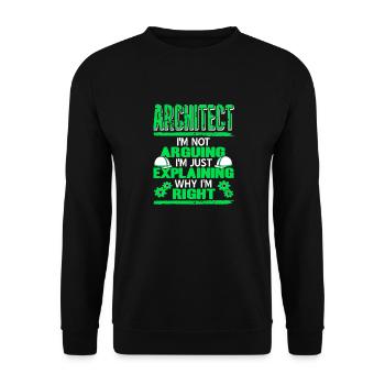 Architect I'm Not Arguing I'm Just Explaining - Unisex Sweatshirt - black - Front - Alina (178cm) & Michal (187cm)