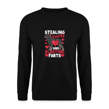Stehlen von Herzen und Sprengen von Fürzen - Unisex Pullover - Schwarz - Vorne - Alina (178cm) & Michal (187cm)