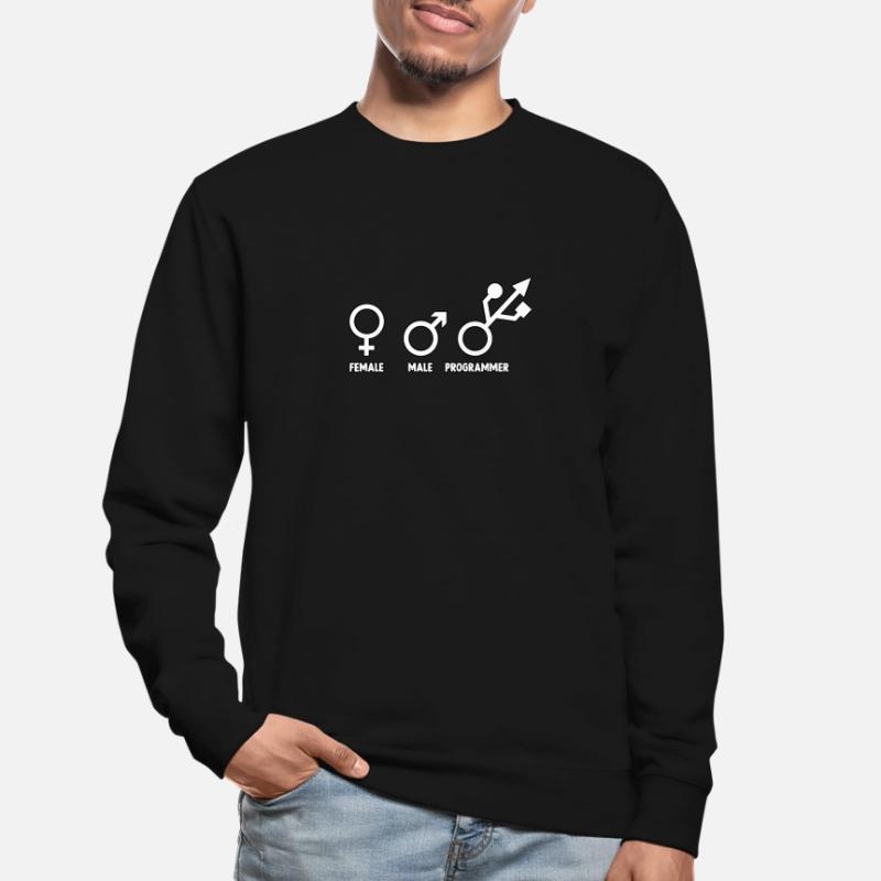 Entwickler Admin Coder Programmierer Informatiker Unisex Pullover