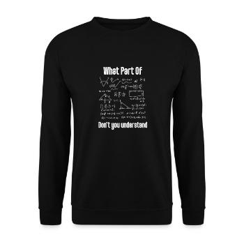 Welcher Teil der höheren Mathematik versteht man nicht von der Wissenschaft? - Unisex Pullover - Schwarz - Vorne - Alina (178cm) & Michal (187cm)