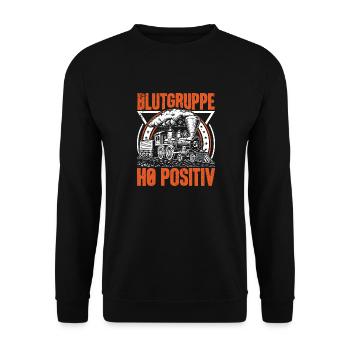 Blutgruppe H0 positiv Modeleisenbahner Geschenk - Unisex Pullover - Schwarz - Vorne - Alina (178cm) & Michal (187cm)