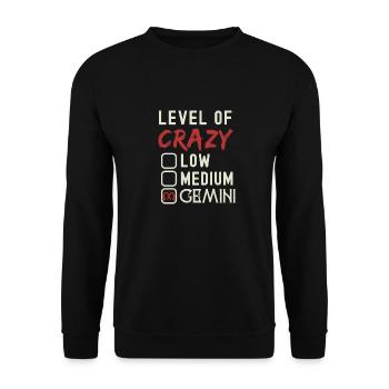 Niveau De Fou Gémeaux Drôle Signe Astrologie - Sweat-shirt Unisexe - noir - Devant - Alina (178cm) & Michal (187cm)
