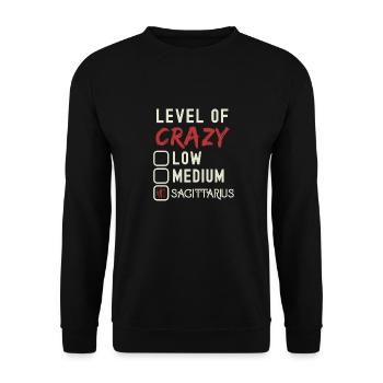Level Of Crazy Sagittarius Funny Star Sign - Unisex Sweatshirt - black - Front - Alina (178cm) & Michal (187cm)