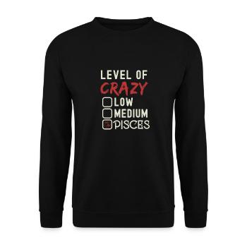 Level Of Crazy Pisces Funny Star Sign Astrology - Unisex Sweatshirt - black - Front - Alina (178cm) & Michal (187cm)