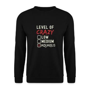 Level Of Crazy Aquarius Funny Star Sign Astrology - Unisex Sweatshirt - black - Front - Alina (178cm) & Michal (187cm)