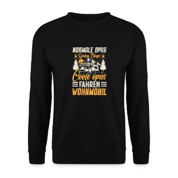Normal Grandpas Riding Bikes Cool Grandpas Camper - Unisex Sweatshirt - black - Front - Alina (178cm) & Michal (187cm)