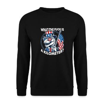 WTF ist ein Kilometer T-Rex Präsident unter amerikanischer Flagge - Unisex Pullover - Schwarz - Vorne - Alina (178cm) & Michal (187cm)