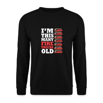 Feuerwehrauto Kindergeburtstag - Unisex Pullover - Schwarz - Vorne - Alina (178cm) & Michal (187cm)