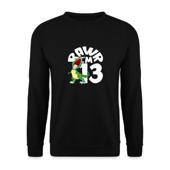 Rawr Ich Bin 13 Dinosaurier Geburtstag - Unisex Pullover - Schwarz - Vorne - Alina (178cm) & Michal (187cm)