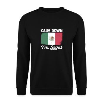 Mexiko Souvenir - Cool Nord Amerika Reisen - Unisex Pullover - Schwarz - Vorne - Alina (178cm) & Michal (187cm)