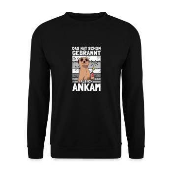 Hat schon gebrannt Pyrotechniker Böllern Feuerwerk - Unisex Pullover - Schwarz - Vorne - Alina (178cm) & Michal (187cm)