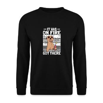 It was on fire: pyrotechnicians, firecrackers, fireworks - Unisex Sweatshirt - black - Front - Alina (178cm) & Michal (187cm)
