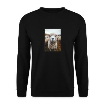 Sheep Sheep - Unisex Sweatshirt - black - Front - Alina (178cm) & Michal (187cm)