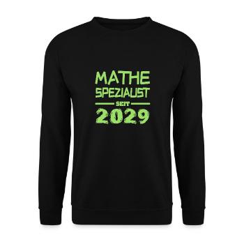 Math 2029 - Unisex Sweatshirt - black - Front - Alina (178cm) & Michal (187cm)