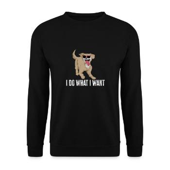 Chiweenie Chien - Sweat-shirt Unisexe - noir - Devant - Alina (178cm) & Michal (187cm)