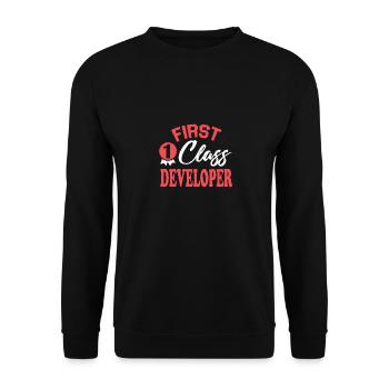 Erstklassiger Entwickler - Unisex Pullover - Schwarz - Vorne - Alina (178cm) & Michal (187cm)