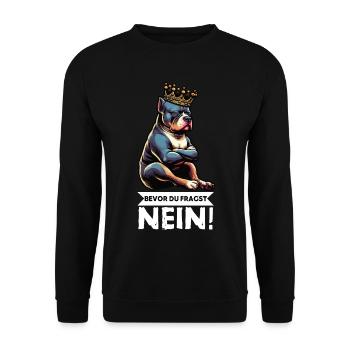 Bevor Du Fragst Nein American Bully Bully Pit - Unisex Pullover - Schwarz - Vorne - Alina (178cm) & Michal (187cm)