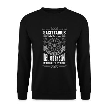 Sagittarius Astrology December Energy - Unisex Sweatshirt - black - Front - Alina (178cm) & Michal (187cm)