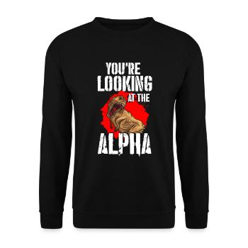 Dinosaurier Tyrannosaurus Rex Steinzei - Unisex Pullover - Schwarz - Vorne - Alina (178cm) & Michal (187cm)