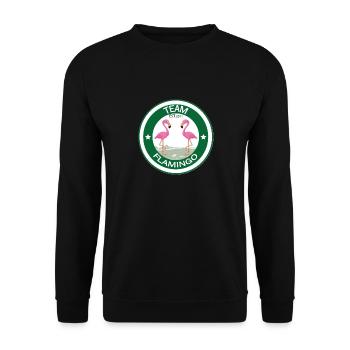 Team Flamingo - Unisex Pullover - Schwarz - Vorne - Alina (178cm) & Michal (187cm)