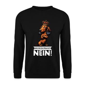 Bevor Du Fragst Nein Langhaardackel Dackel Teckel - Unisex Pullover - Schwarz - Vorne - Alina (178cm) & Michal (187cm)