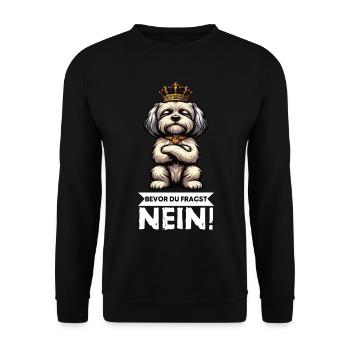 Avant que vous ne demandiez, aucun propriétaire havanais - Sweat-shirt Unisexe - noir - Devant - Alina (178cm) & Michal (187cm)