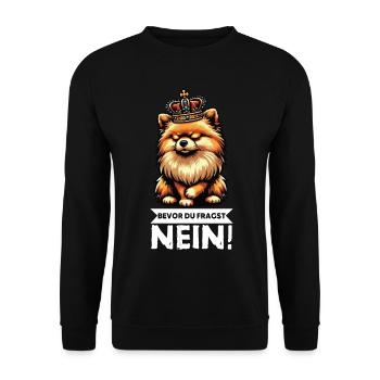 Bevor Du Fragst Nein Zwergspitz Zwergspitze Spitz  - Unisex Pullover - Schwarz - Vorne - Alina (178cm) & Michal (187cm)