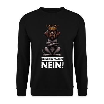 Bevor Du Fragst Nein Deutsch Drahthaar Drahthaare  - Unisex Pullover - Schwarz - Vorne - Alina (178cm) & Michal (187cm)