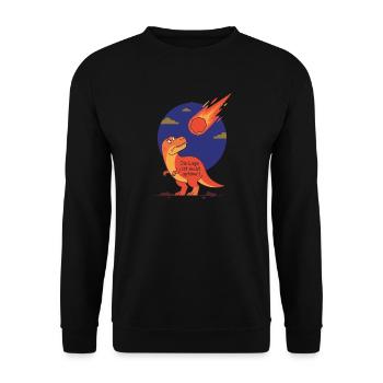 Die Lage ist nicht optimal - Dinosaurier Meteorit - Unisex Pullover - Schwarz - Vorne - Alina (178cm) & Michal (187cm)