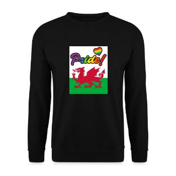 Wales LGBT Gay Pride Cardiff - Unisex Sweatshirt - black - Front - Alina (178cm) & Michal (187cm)