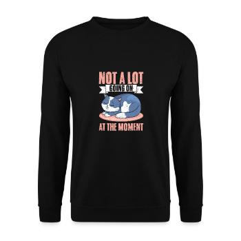 Sleeping Cat Not A Lot Going On At The Moment A - Unisex Sweatshirt - black - Front - Alina (178cm) & Michal (187cm)