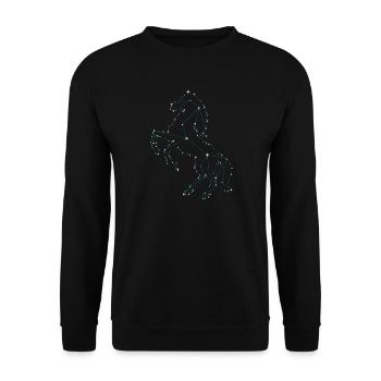 Pferdetraum Pferde Liebe Sternen Pferd - Unisex Pullover - Schwarz - Vorne - Alina (178cm) & Michal (187cm)