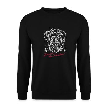 BOUVIER DES FLANDRES Hunde Hund Wilsigns - Unisex Pullover - Schwarz - Vorne - Alina (178cm) & Michal (187cm)