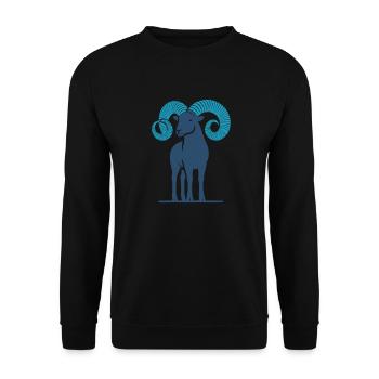 Bélier 1 - Sweat-shirt Unisexe - noir - Devant - Alina (178cm) & Michal (187cm)