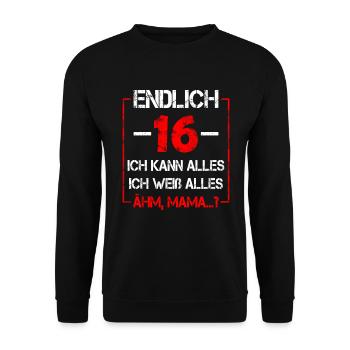 16 Geburtstag 16 Jahre Sechzehn Geschenk Junge - Unisex Pullover - Schwarz - Vorne - Alina (178cm) & Michal (187cm)