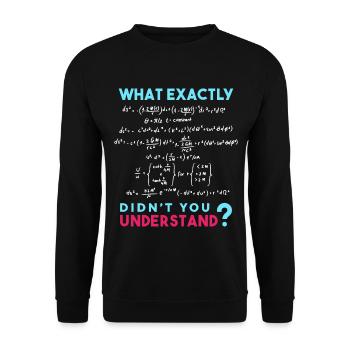 Physik Formel Scherz Lustig Mathe - Unisex Pullover - Schwarz - Vorne - Alina (178cm) & Michal (187cm)