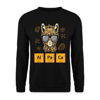 Alpaka Tableau périodique Element Chimie Chimie - Sweat-shirt Unisexe - noir - Devant - Alina (178cm) & Michal (187cm)