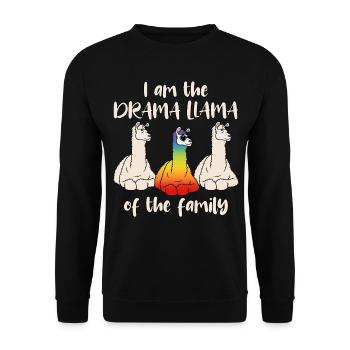 Drama Lama Regenbogen Drama Llama Of The Family - Unisex Pullover - Schwarz - Vorne - Alina (178cm) & Michal (187cm)
