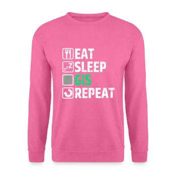 GIS Geoinformation Geoinformatics Geography - Unisex Sweatshirt - pink - Front