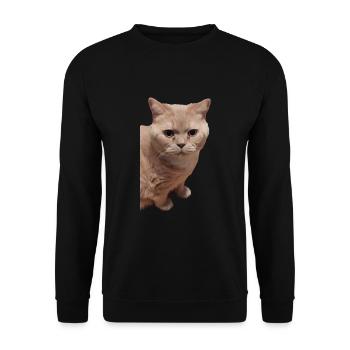 british shorthair cat cats - Unisex Sweatshirt - black - Front - Alina (178cm) & Michal (187cm)