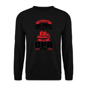 LKW Fahrer Opa Lastwagenfahrer Geschenk - Unisex Pullover - Schwarz - Vorne - Alina (178cm) & Michal (187cm)