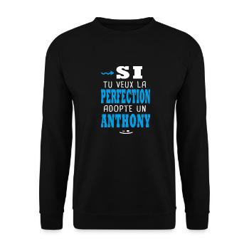 Anthony Si tu veux la perfection adopte un anthony - Sweat-shirt Unisexe - noir - Devant - Alina (178cm) & Michal (187cm)