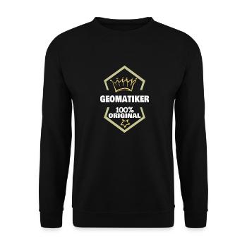 Work Geomatics Engineer - Unisex Sweatshirt - black - Front - Alina (178cm) & Michal (187cm)