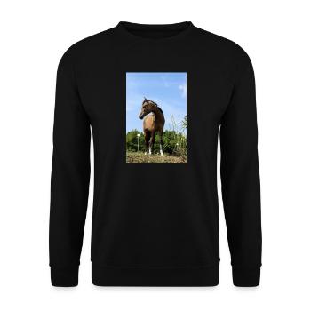 Pferde T-shirt Geschenk Reiter  - Unisex Pullover - Schwarz - Vorne - Alina (178cm) & Michal (187cm)