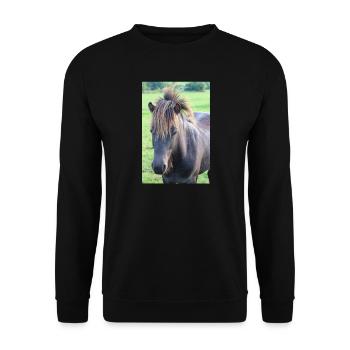 Pferd Pferdeposter - Unisex Pullover - Schwarz - Vorne - Alina (178cm) & Michal (187cm)